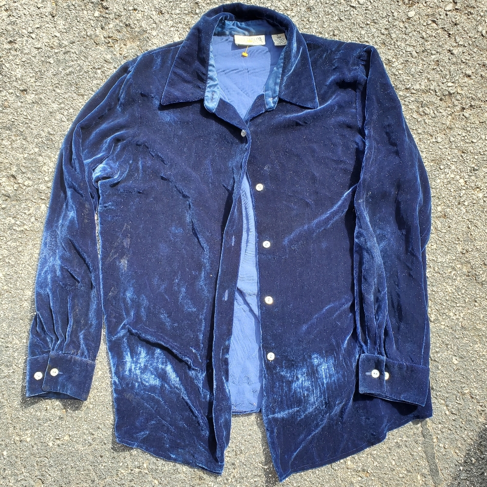 Ann Taylor Blue Velvet Button Up